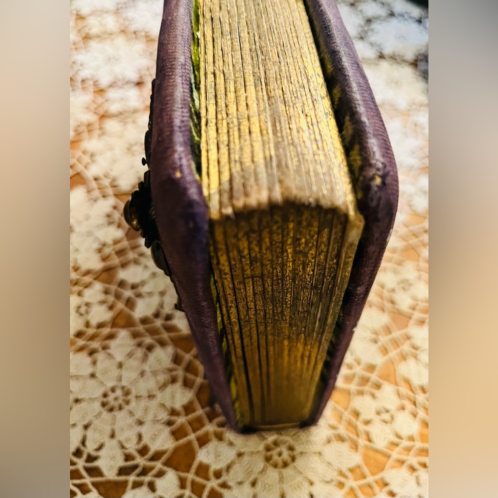 Antique Victorian Photo Album Photos - Picture 5 of 16
